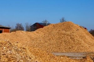 Feedstock - Biomass - sawdust pile